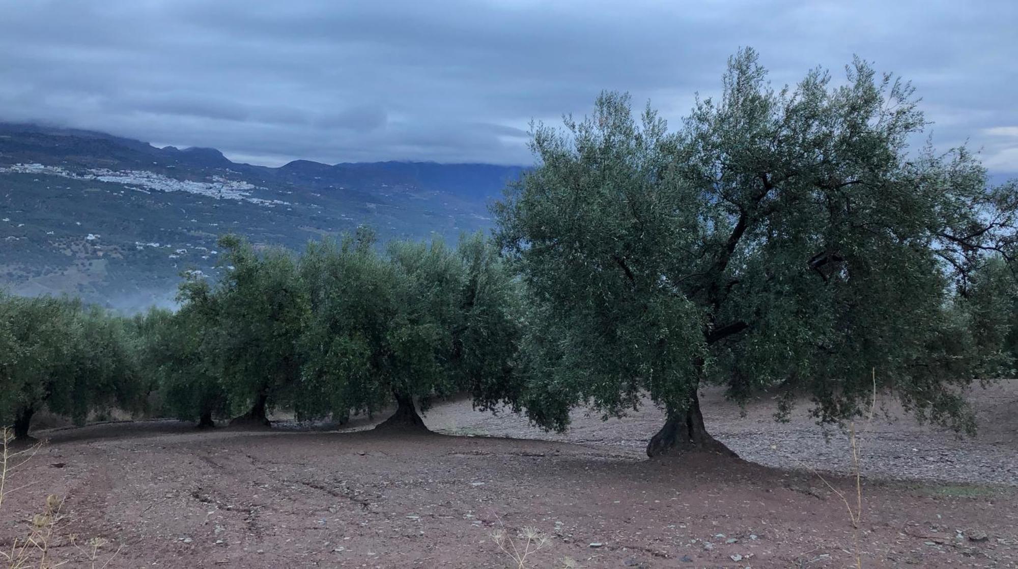 Villa La Fuente Mondron Екстер'єр фото